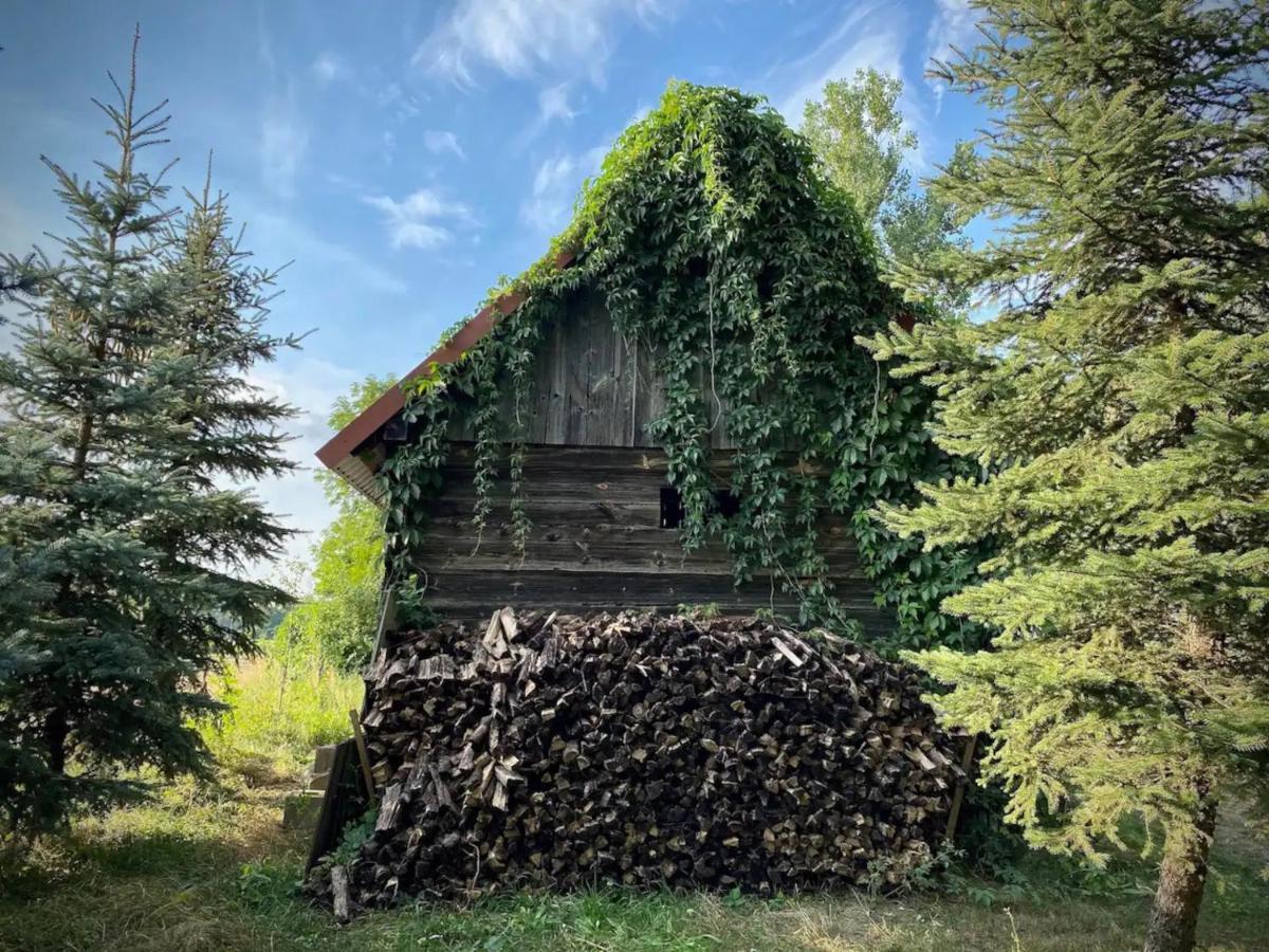 Domek W Lipiencu Razny Nowe Dış mekan fotoğraf