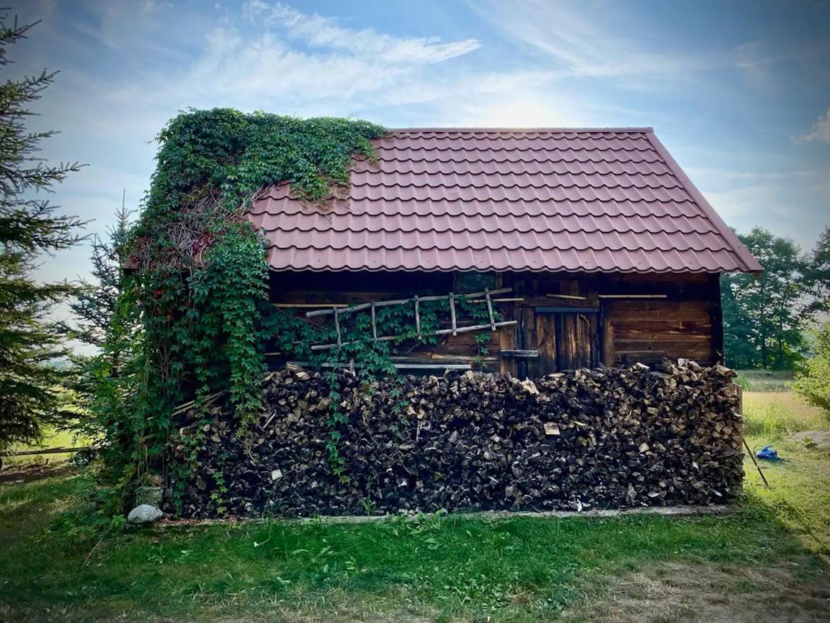 Domek W Lipiencu Razny Nowe Dış mekan fotoğraf